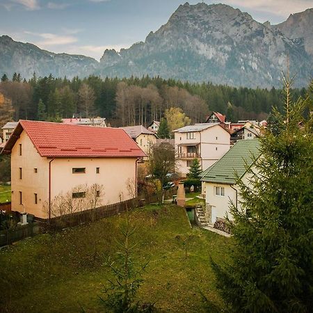 Hotel Casa Maia Buşteni Zewnętrze zdjęcie