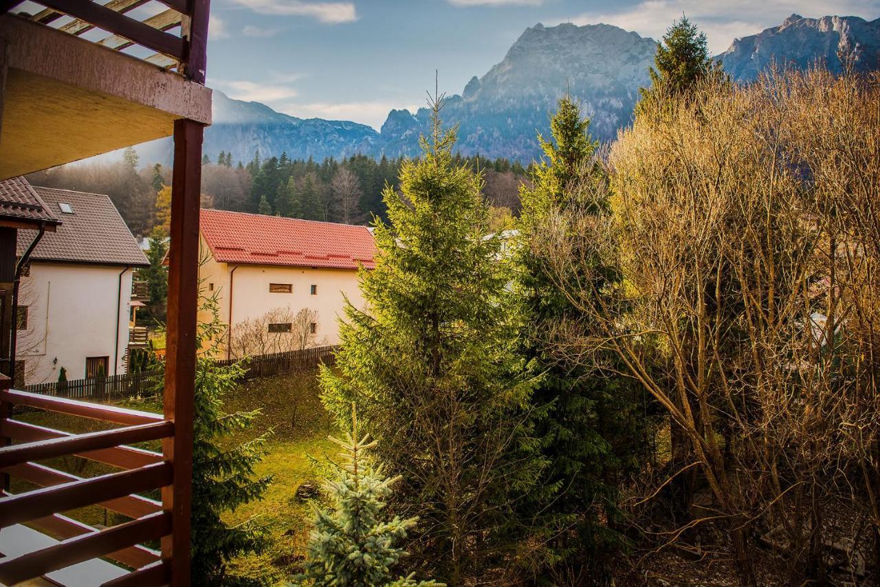 Hotel Casa Maia Buşteni Zewnętrze zdjęcie