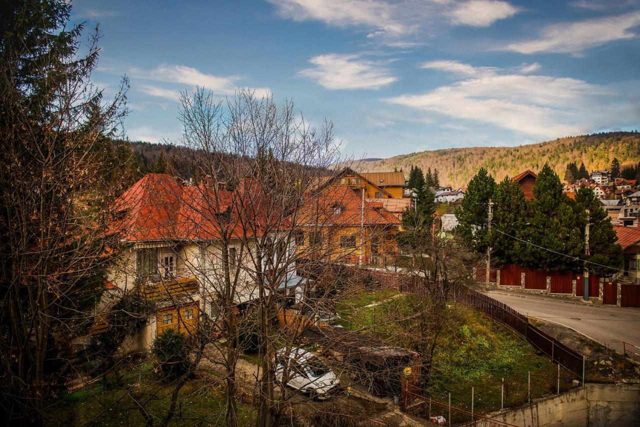 Hotel Casa Maia Buşteni Zewnętrze zdjęcie