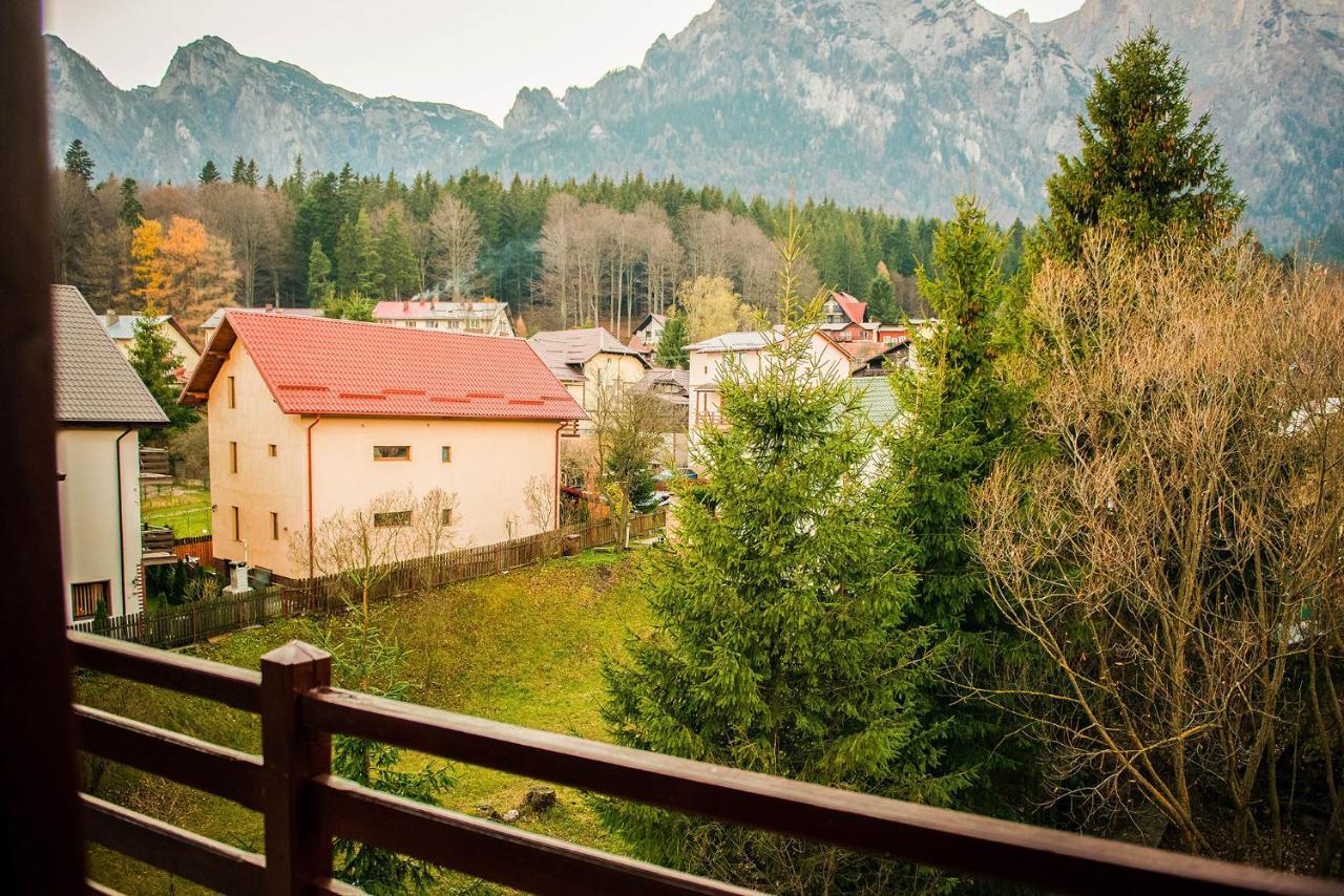 Hotel Casa Maia Buşteni Zewnętrze zdjęcie