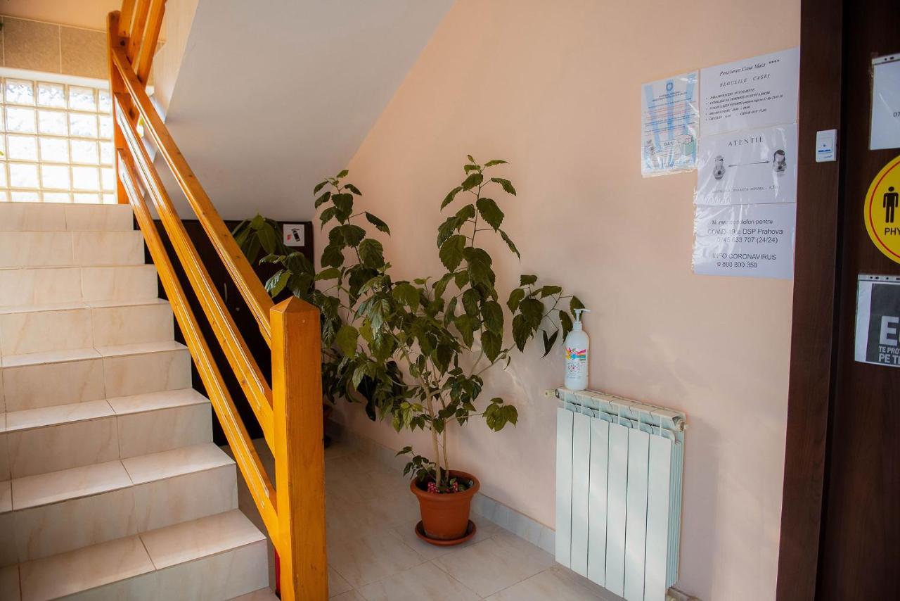 Hotel Casa Maia Buşteni Zewnętrze zdjęcie