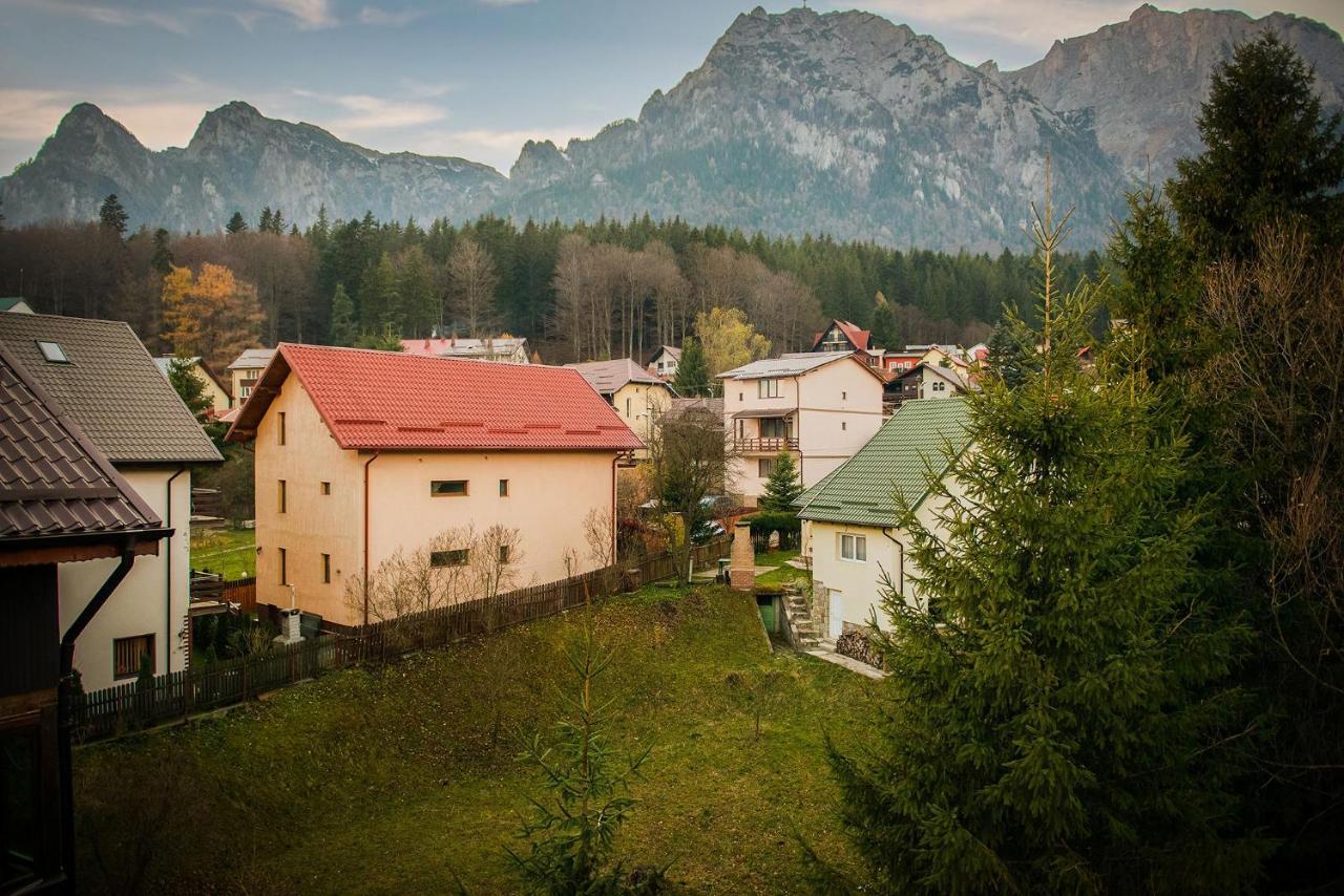 Hotel Casa Maia Buşteni Zewnętrze zdjęcie